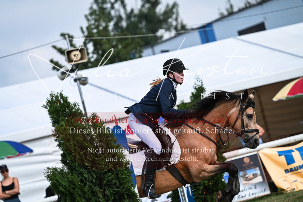 DSC_8028 | Pferde- und Turnierfotografie in Westsachsen. Pferdeportraits, Auftragszeichnungen und intuitive Kunst.
