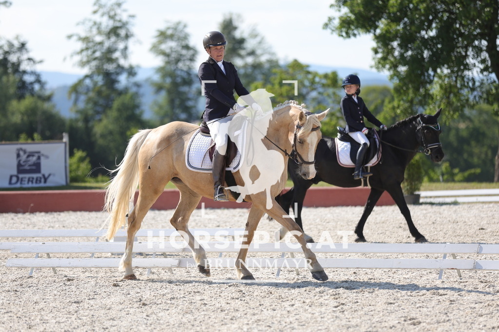 0P6A8370 | Willkommen bei Brunnmayr - Design & Fotografie – Ihrem Spezialisten für Reitturniere und Pferdeveranstaltungen in Oberösterreich, Salzburg und Bayern! Seit über 17 Jahren sind wir leidenschaftlich dabei.