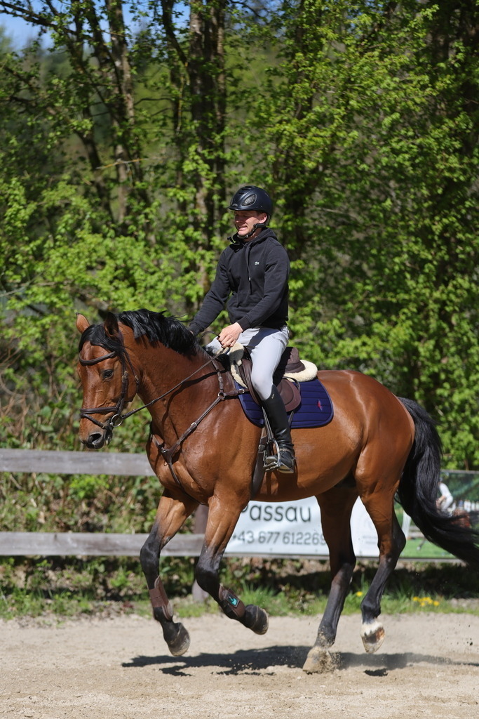 0P6A8114 | Willkommen bei Brunnmayr - Design & Fotografie – Ihrem Spezialisten für Reitturniere und Pferdeveranstaltungen in Oberösterreich, Salzburg und Bayern! Seit über 17 Jahren sind wir leidenschaftlich dabei.