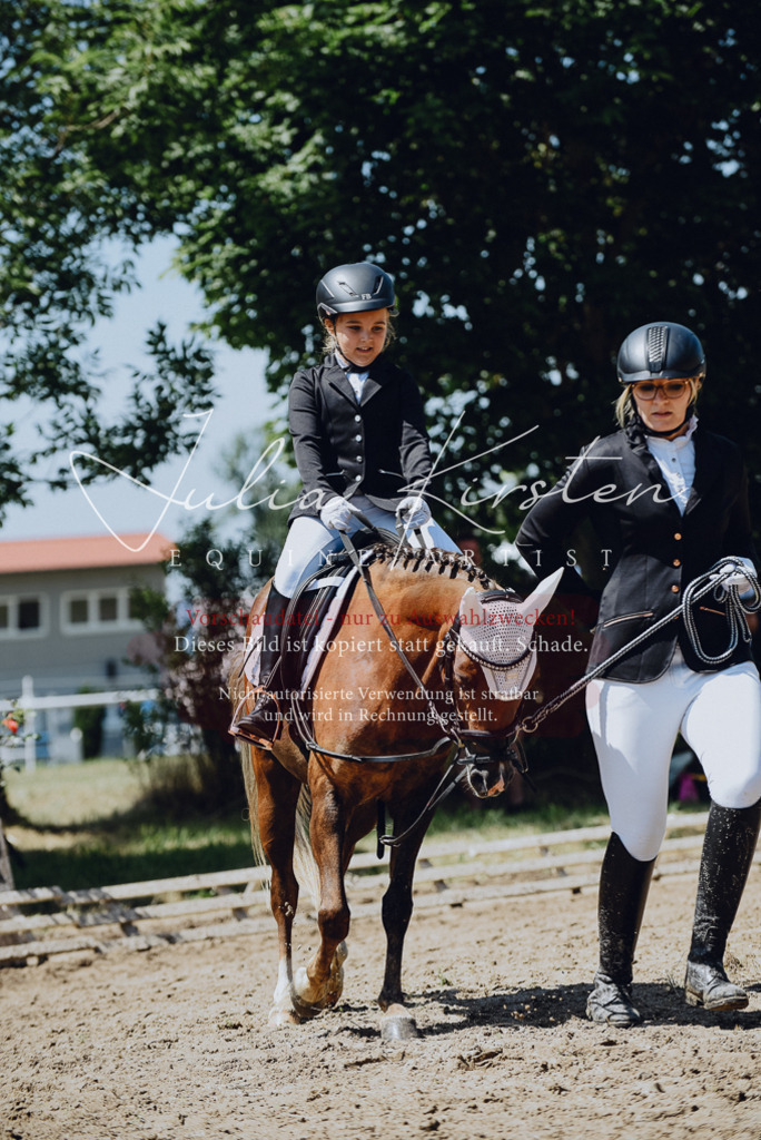DSC_2547 | Pferde- und Turnierfotografie in Westsachsen. Pferdeportraits, Auftragszeichnungen und intuitive Kunst.