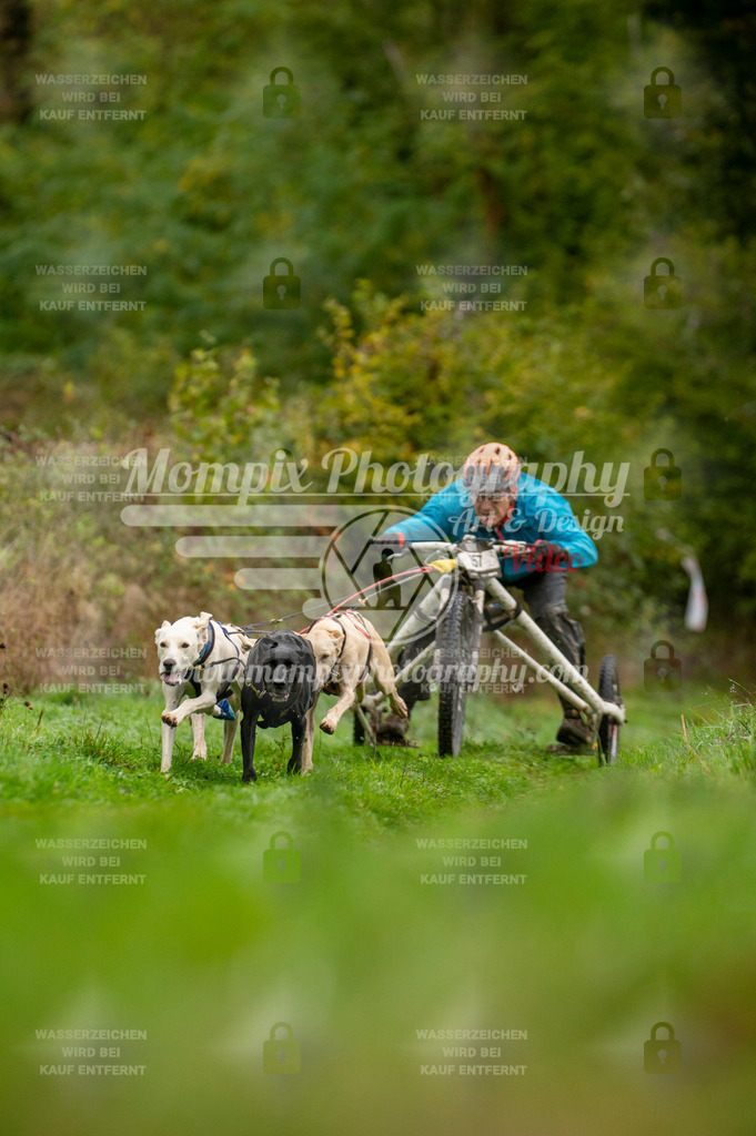 TSB_2023_E6_Kart-1 | PayLife