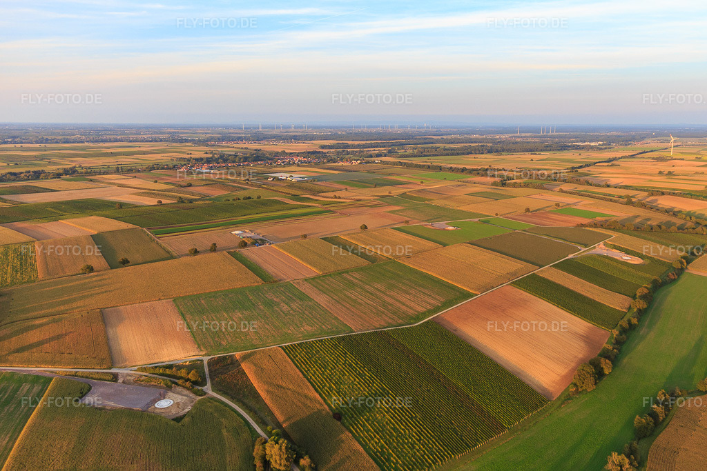 Luftbild: Fundamentgründung des Windparks Freckenfeld der EnBW -für Windenergieanlage mit 6 Windrädern in Freckenfeld im Bundesland Rheinland-Pfalz in Deutschland. Foto: IMG_103575.jpg vom 21.09.2017 durch Werner Riehm/FLY-FOTO.de