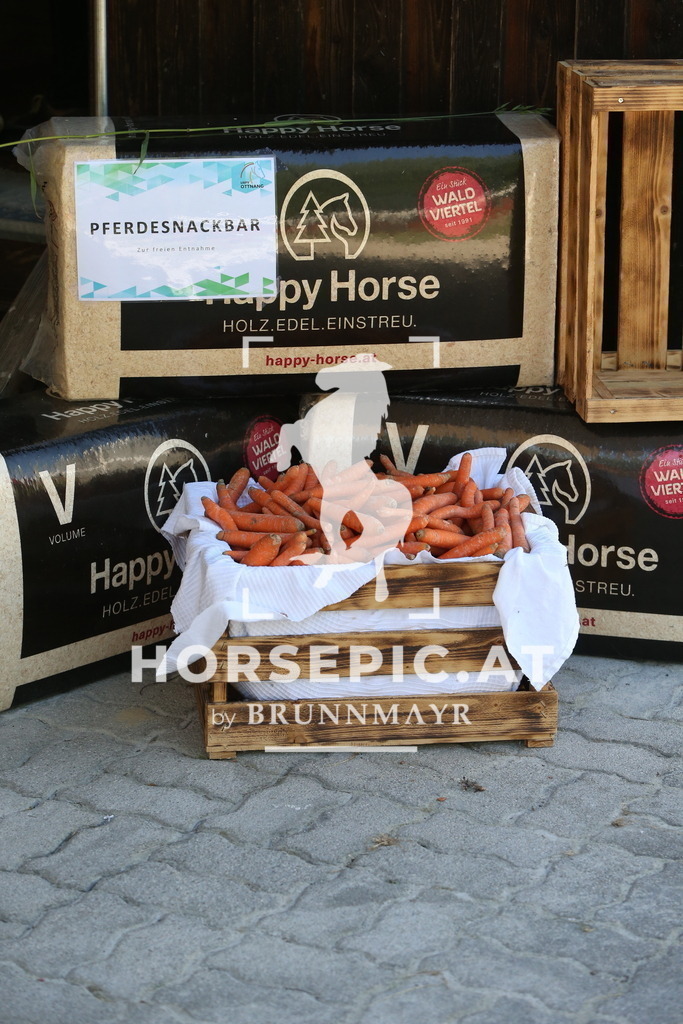 DL2Q0170 | Willkommen bei Brunnmayr - Design & Fotografie – Ihrem Spezialisten für Reitturniere und Pferdeveranstaltungen in Oberösterreich, Salzburg und Bayern! Seit über 17 Jahren sind wir leidenschaftlich dabei.