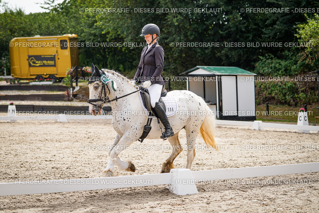 DSC02429 | Pferdegrafie