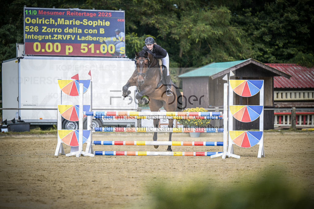DOS_5129 | Entdecke hochwertige Reitturnierfotos von Foto Oger. Professionell, emotional und authentisch – jetzt Lieblingsmomente im Shop bestellen.Deutschlandweite Turnierfotografie. - Realisiert mit Pictrs.com