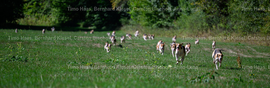 DSC_9349 | foto-team-bernhard - Realisiert mit Pictrs.com