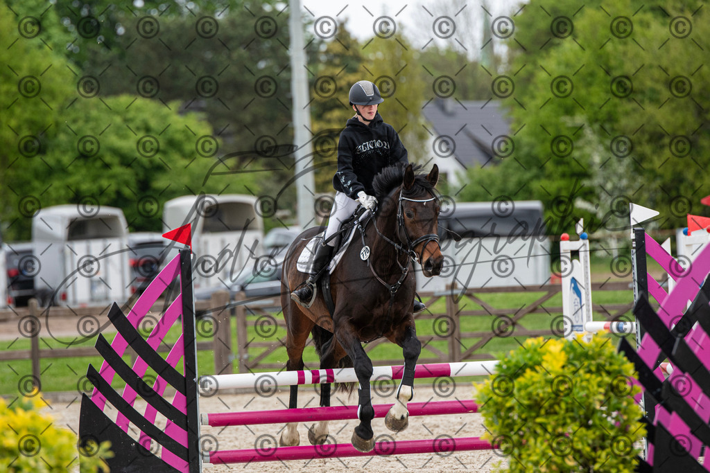 KPT_7842 | andre_photographic