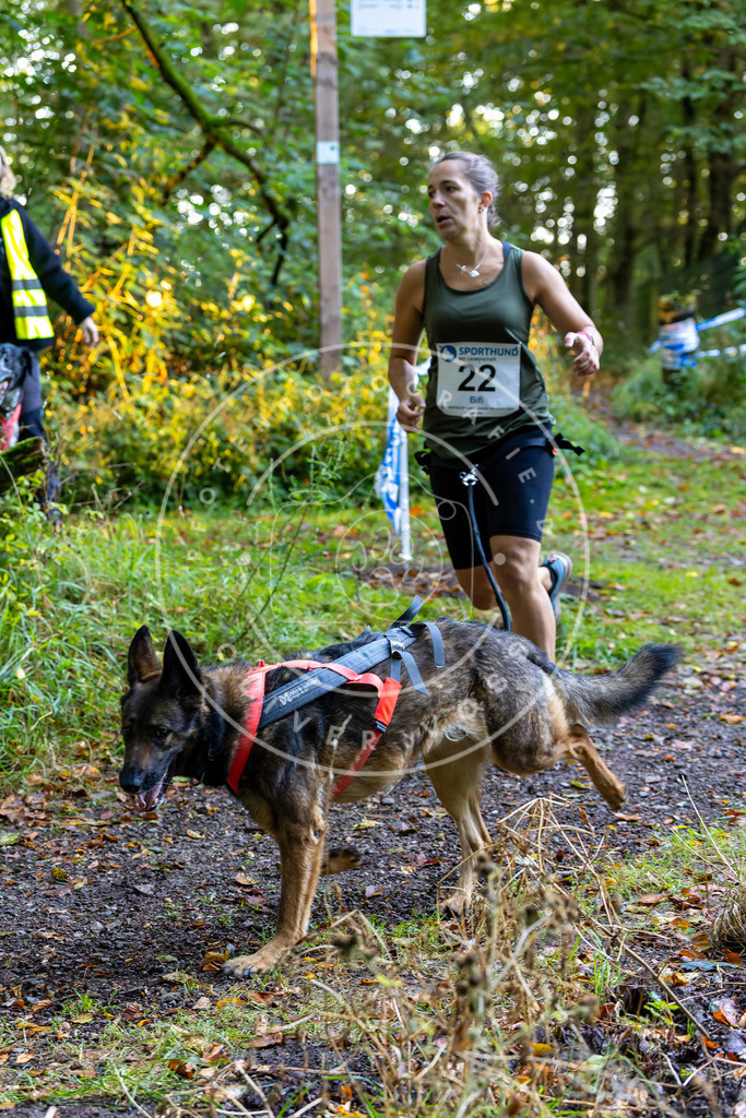 Pfotenfotografie_DV3A6502 | Hundefotografie, Tierfotograf, Pfotenfotografie, Fotoshooting Hund, Hunde Portrait, Hundesport, Hundeportraits, Heideshooting, Hunde, Sportfotograf, Hundefotograf, Turnierhundsport, THS,  - Realisiert mit Pictrs.com