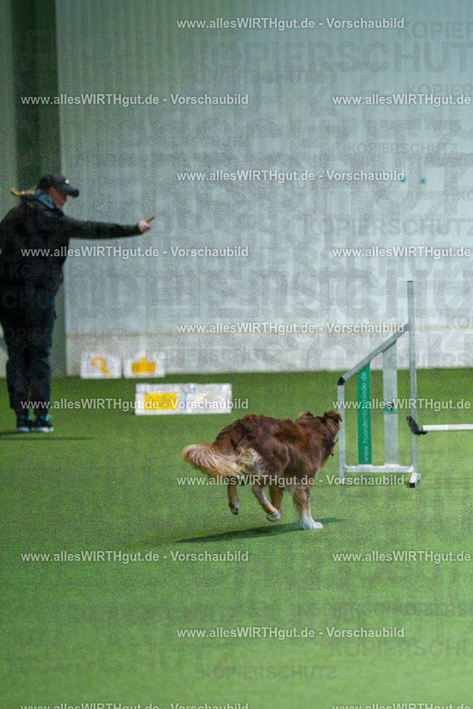 7R502824 | Professionelle Tierfotografie in Mönchengladbach von Daniel Wirth (allesWIRTHgut). Liebevolle & natürliche Bilder von Hunden & Katzen für unvergessliche Erinnerungen.