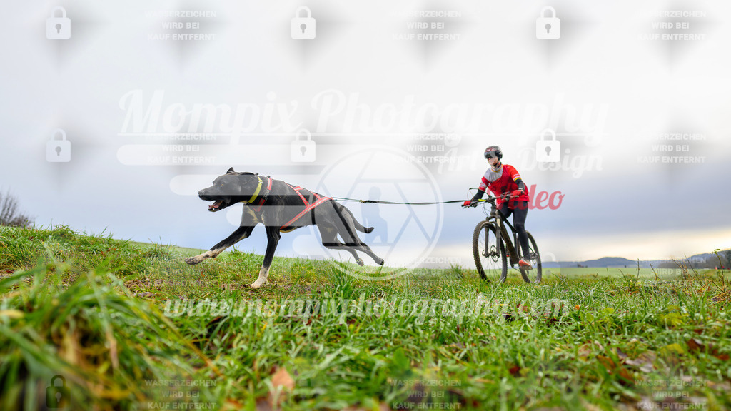 MompixPhotography_Staufertrail2024_SO_Bike-13 | PayLife