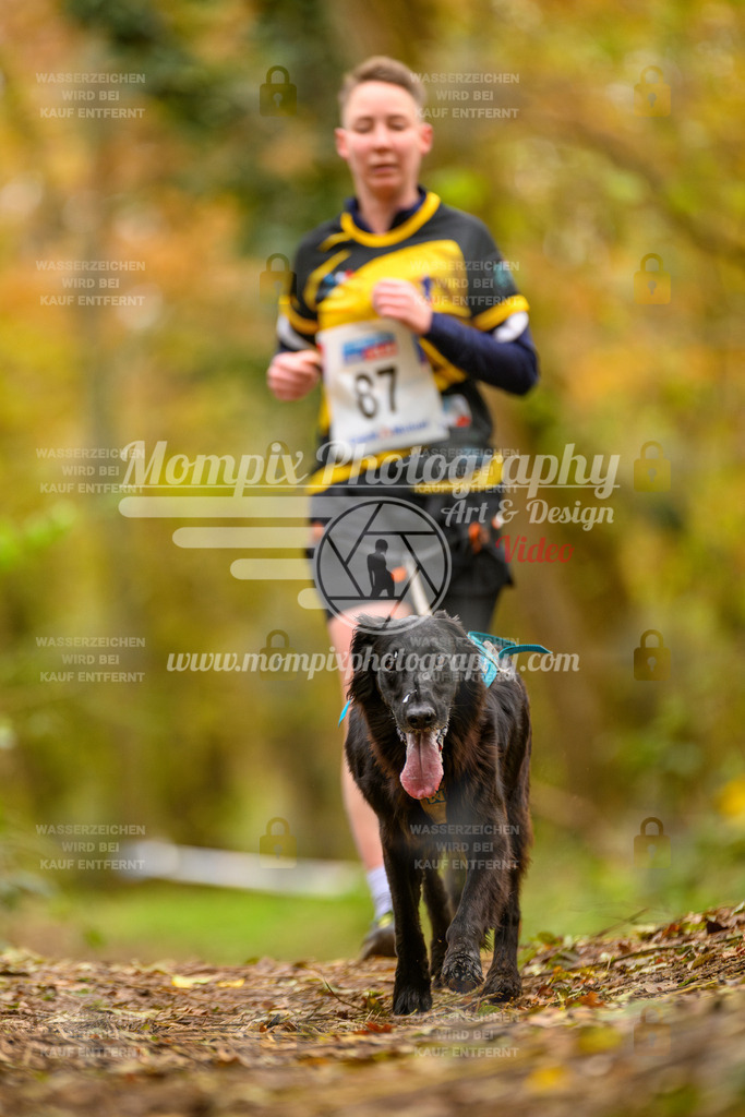 MompixPhotography_Bischwiller24_SA_Canicross-170 | PayLife