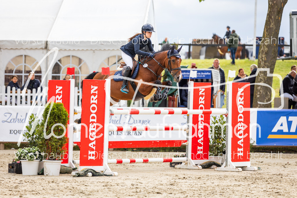 BHO-2PhSpr-M-5-2175 | MomenTaufnahmen Pferdesportfotos