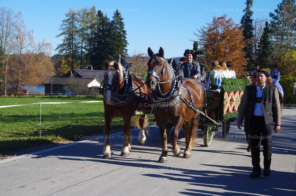 IMGP7920 | fotografiert von Axel PollmannLeonhardi Wallfahrt Benediktbeuern und Murnau, Fronleichnam, Fasching, Landschaft im Loisachtal und Benediktbeuern  - Realisiert mit Pictrs.com