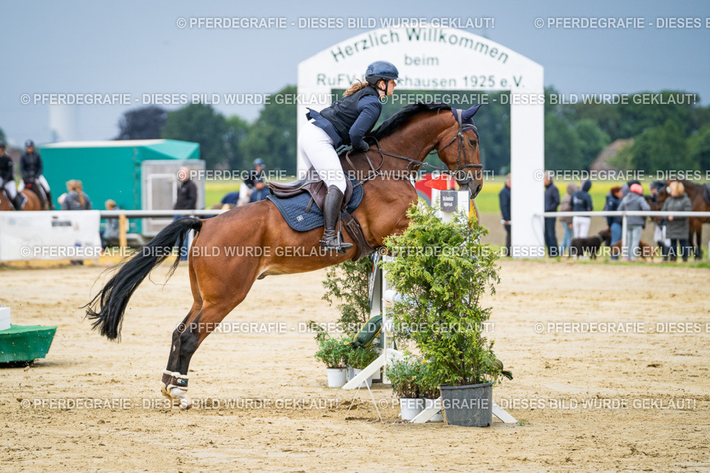 DSC03979 | Pferdegrafie