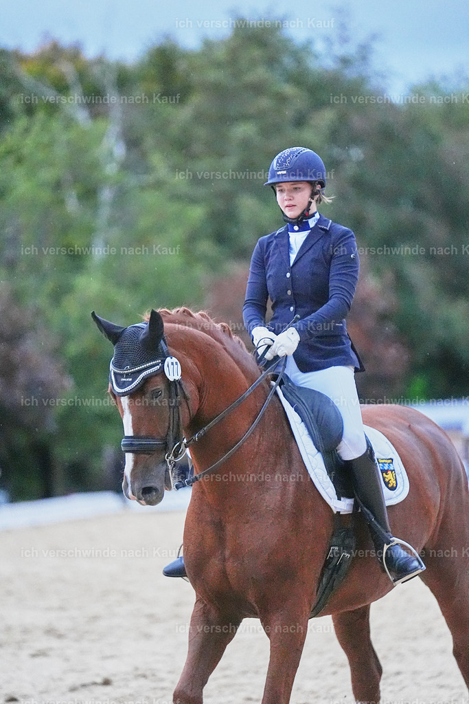 04_2-177-Dressur M__ -Marixx-3100 | working equitationturnier fotograf videograf stoibphotography marixx film working equitation deutschland reitsport turnierfotografie eventfotografie equestrian events
