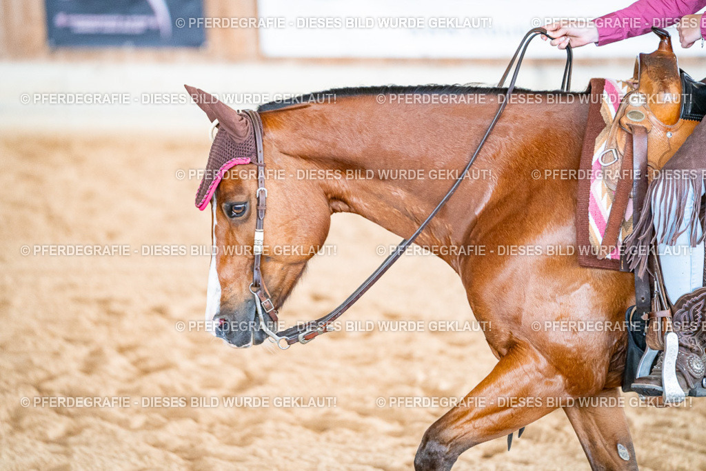 DSC09597 | Pferdegrafie