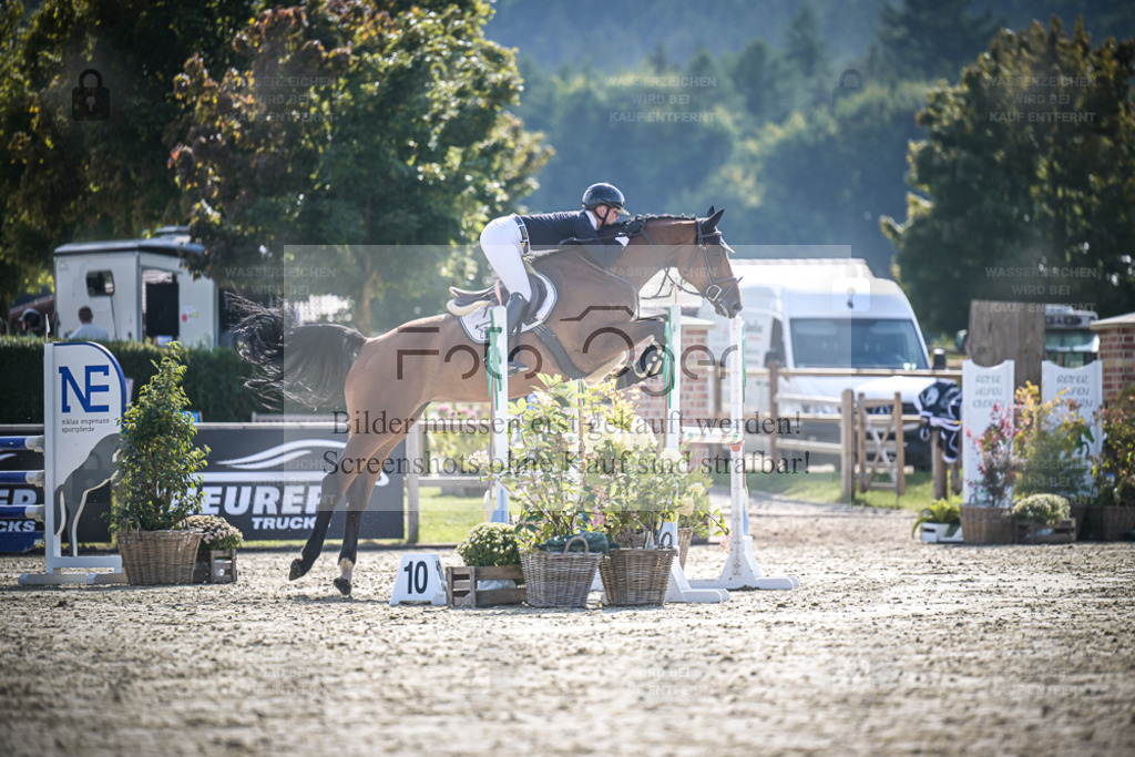 DOS_9455 | Entdecke hochwertige Reitturnierfotos von Foto Oger. Professionell, emotional und authentisch – jetzt Lieblingsmomente im Shop bestellen. - Realisiert mit Pictrs.com
