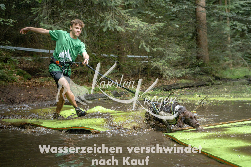 1528_ZZ90823-Bearbeitet | kk-dogfotos