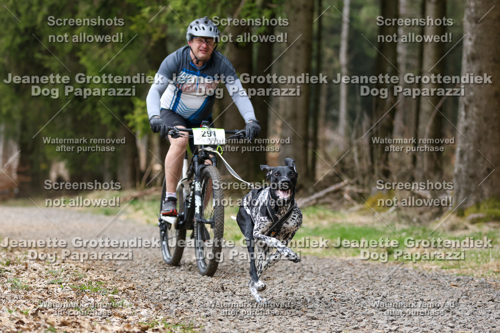 Dog Paparazzi - VCC26-542 | Dog Paparazzi Jeanette Grottendiek Fotografie & Videografie - Realisiert mit Pictrs.com