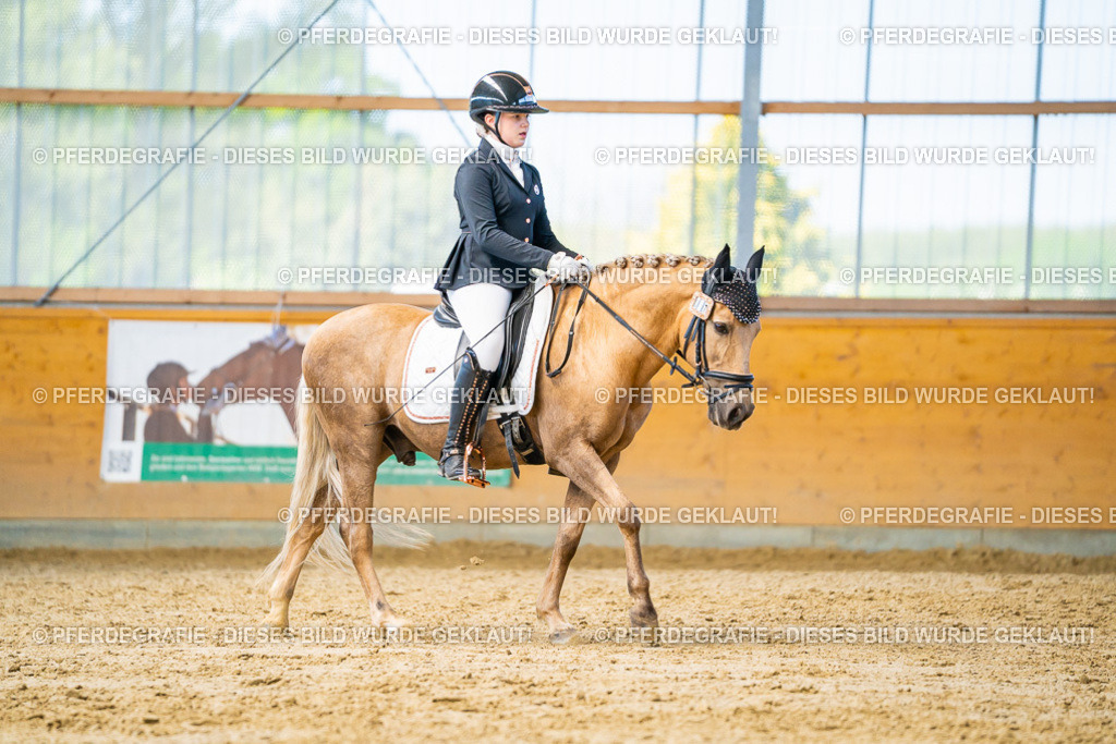 DSC07609 | Pferdegrafie