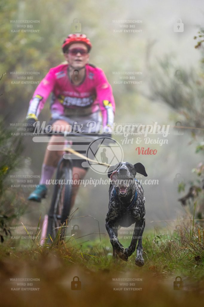 MompixPhotography_20TSB_E4_DS1-17 | PayLife