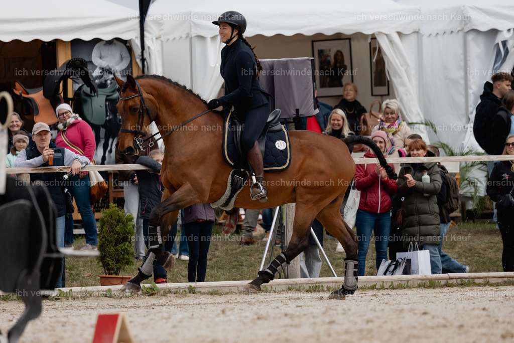 PI26_SP_StoibphotographyC2_C1242.jpg | working equitationturnier fotograf videograf stoibphotography marixx film working equitation deutschland reitsport turnierfotografie eventfotografie equestrian events