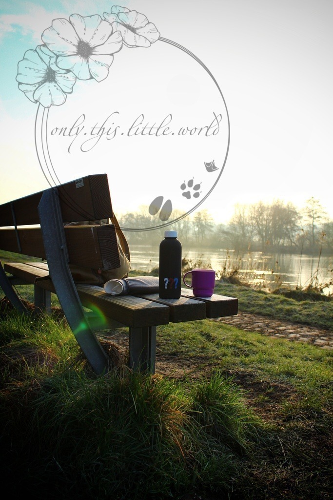 Wintermorgen an der Ruhr | only.this.little.world - Realisiert mit Pictrs.com