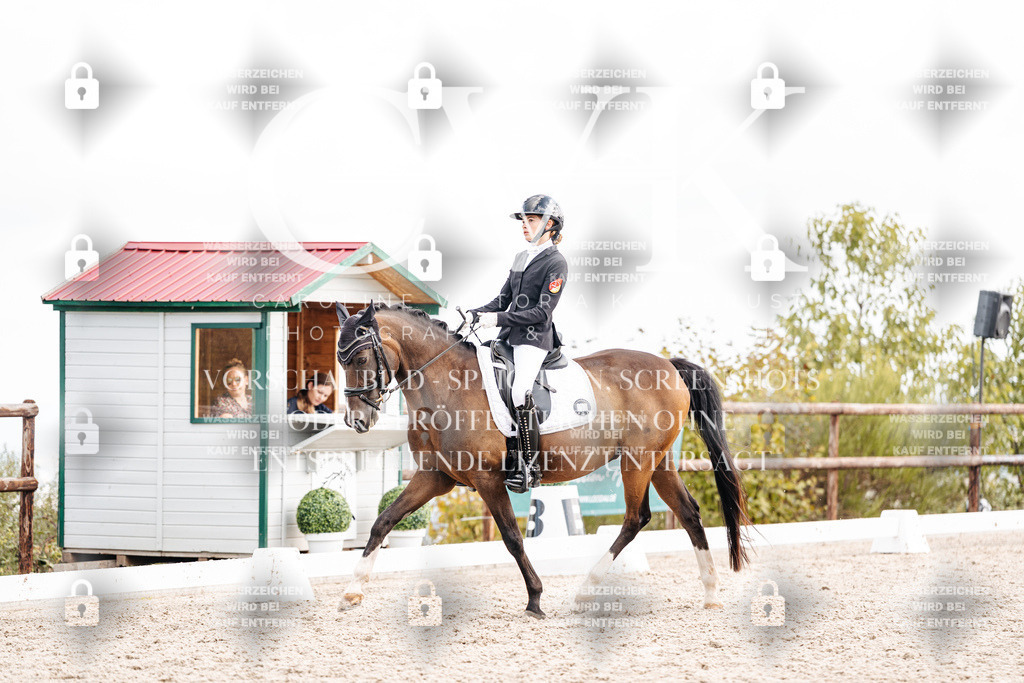 CK901638 | Turnierfotografie Pferdefotografie Trier Rheinland-Pfalz Pferdesport Reitsport Tierfotografie Sportfotografie Pferdevideo Pferdevideografie Equestrianvideography equestrianphotography  - Realisiert mit Pictrs.com