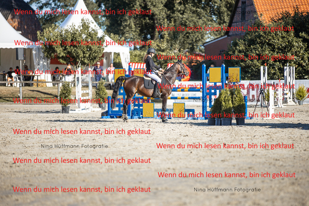 BK1A7843 | Turnierbilder Turnierfotos Nina Hüffmann Turnierfotografie Pferdefotografie Tierzeichnung Haustierzeichnung Pferdezeichnung Hundezeichnung Videograf  - Realisiert mit Pictrs.com