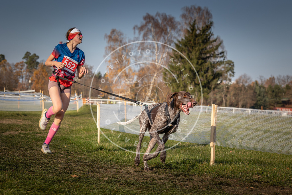 CaniXpix_0L8A9169 | Hundefotografie, Tierfotograf, Pfotenfotografie, Fotoshooting Hund, Hunde Portrait, Hundesport, Hundeportraits, Heideshooting, Hunde, Sportfotograf, Hundefotograf, Turnierhundsport, THS,  - Realisiert mit Pictrs.com