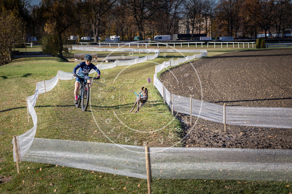 CaniXpix_DV3A4172 | Hundefotografie, Tierfotograf, Pfotenfotografie, Fotoshooting Hund, Hunde Portrait, Hundesport, Hundeportraits, Heideshooting, Hunde, Sportfotograf, Hundefotograf, Turnierhundsport, THS,  - Realisiert mit Pictrs.com