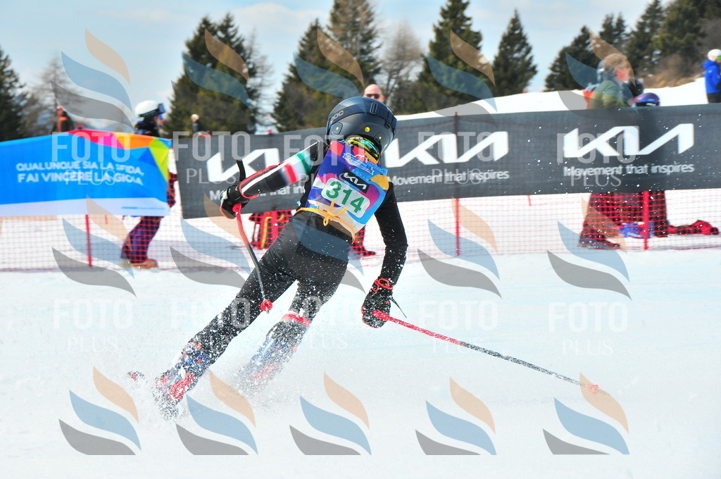 DSC_2906 | holidayphoto