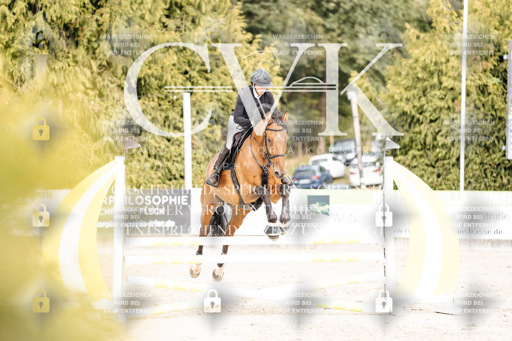 CK902916 | Turnierfotografie Pferdefotografie Trier Rheinland-Pfalz Pferdesport Reitsport Tierfotografie Sportfotografie Pferdevideo Pferdevideografie Equestrianvideography equestrianphotography  - Realisiert mit Pictrs.com