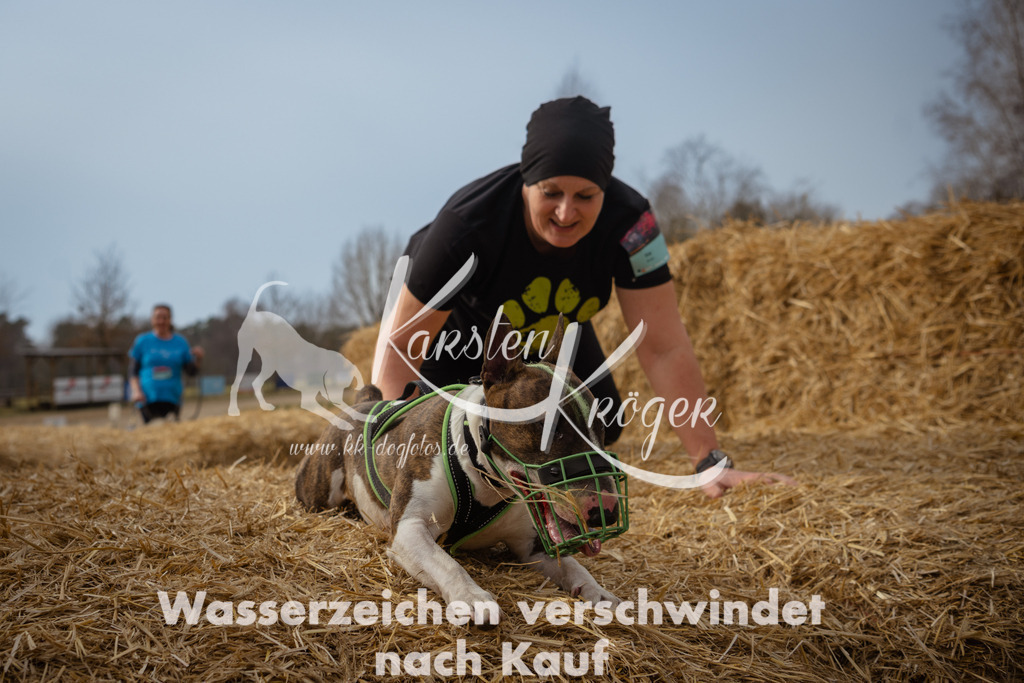 1134_ZZ94549 | kk-dogfotos