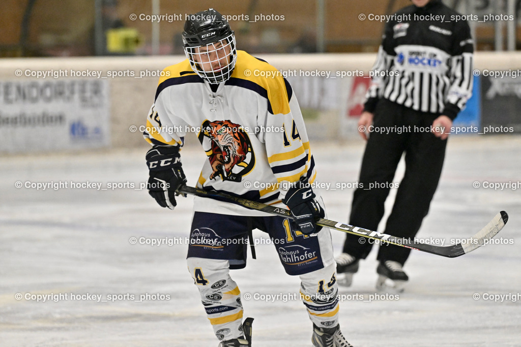EC Tigers Paternion vs. Tarco Wölfe II | #14 Tschurnig Daniel EC Tigers Paternion, EC Tigers Paternion vs. Tarco Wölfe II, EC Tigers Paternion vs. Tarco Wölfe II am 19.12.2024 in Spittal an der Drau (Eissportzentrum Spittal), Austria, (Photo by Bernd Stefan)