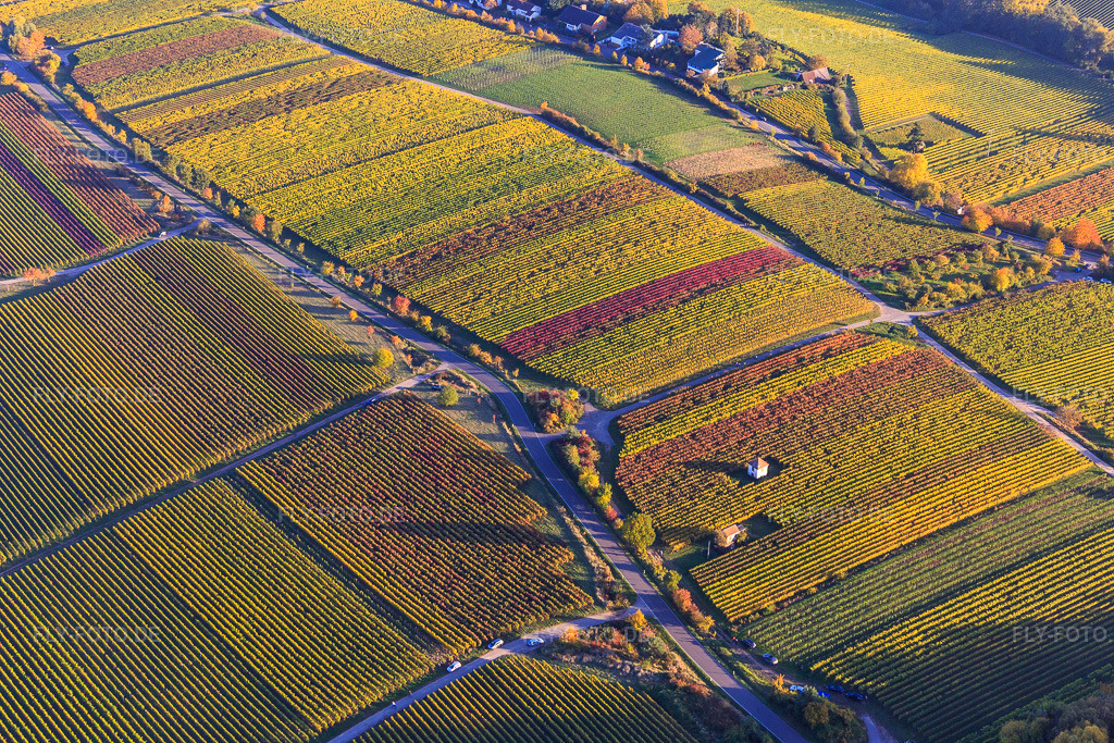 Luftbild: Wingerthäuser am Kieferberg in herbstlicht bunten Weinbergen in Edenkoben im Bundesland Rheinland-Pfalz in Deutschland. Foto: IMG_095651.jpg vom 30.10.2016 durch Werner Riehm/FLY-FOTO.de