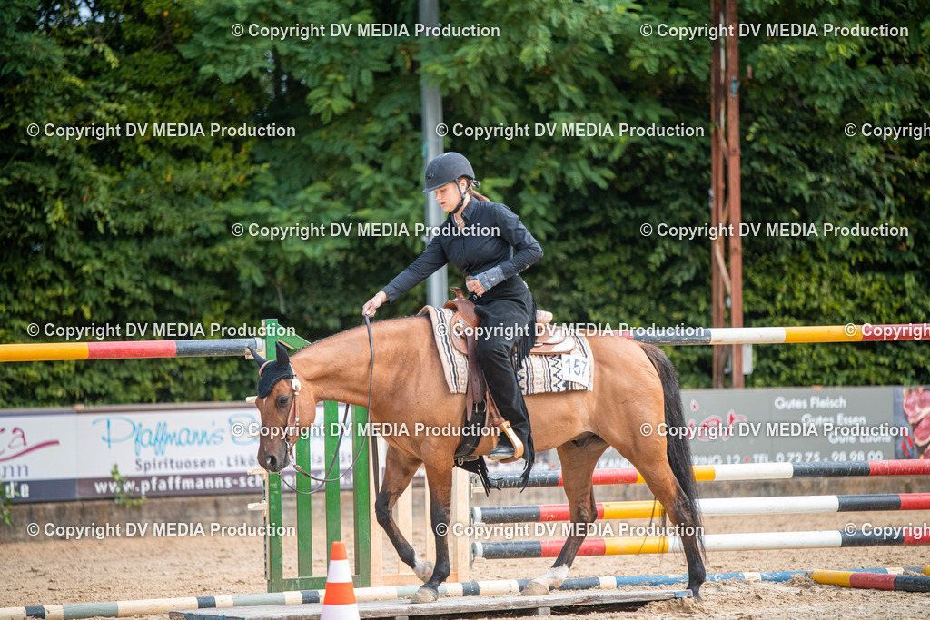 ZS2_7503 | dv-media-shop - Realisiert mit Pictrs.com