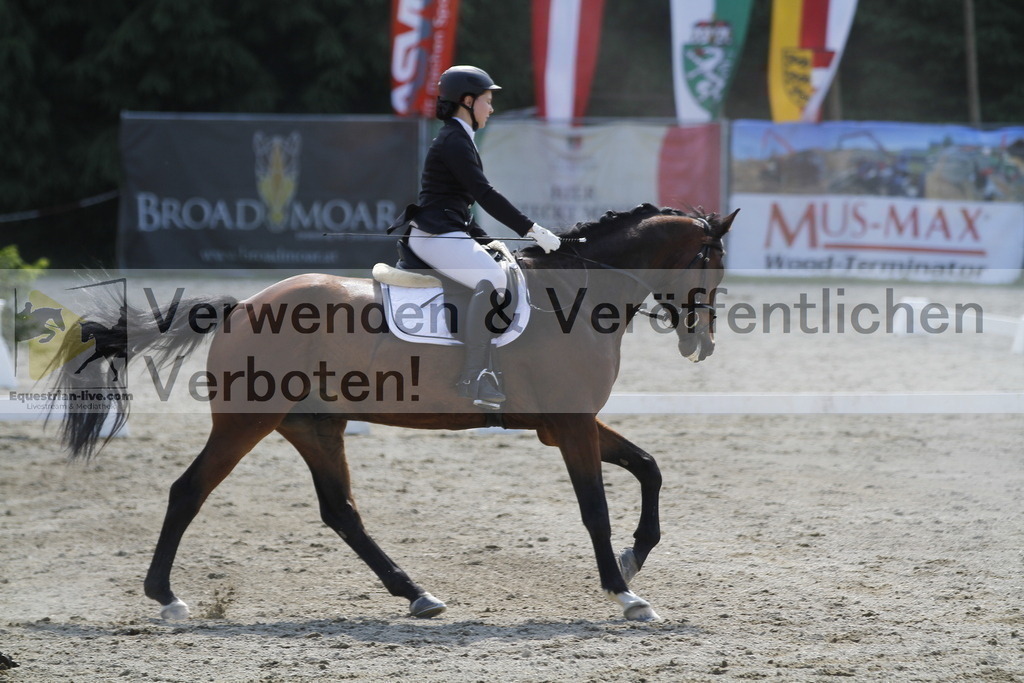 _MG_2125 | equestrian-live-com