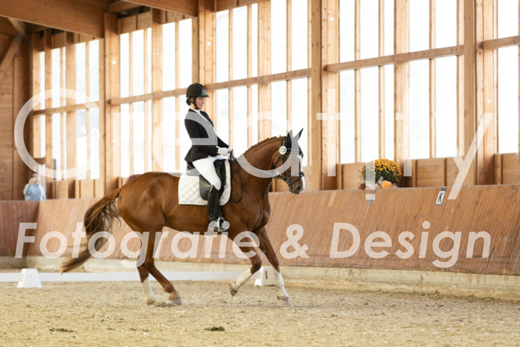 IMG_5795 | Creatify Fotografie