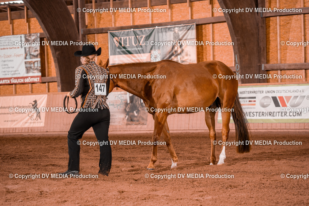 NE200022 | dv-media-shop - Realisiert mit Pictrs.com