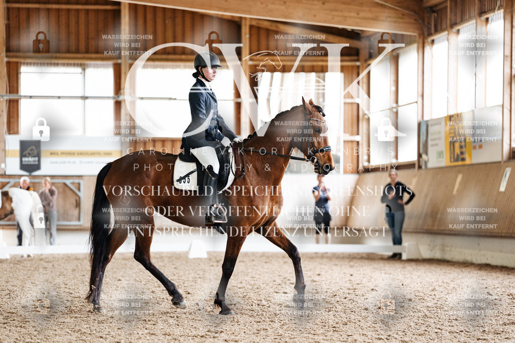 CK900374 | Turnierfotografie Pferdefotografie Trier Rheinland-Pfalz Pferdesport Reitsport Tierfotografie Sportfotografie Pferdevideo Pferdevideografie Equestrianvideography equestrianphotography  - Realisiert mit Pictrs.com