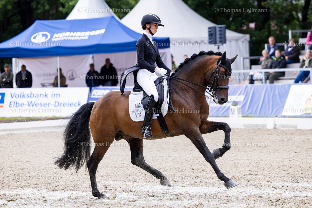 TH_1493 Rod Laver FRH (GER)_ Hannah Laser_31956 | Elmloher Reitertage 2025 am 03.08.25 in Elmlohe,