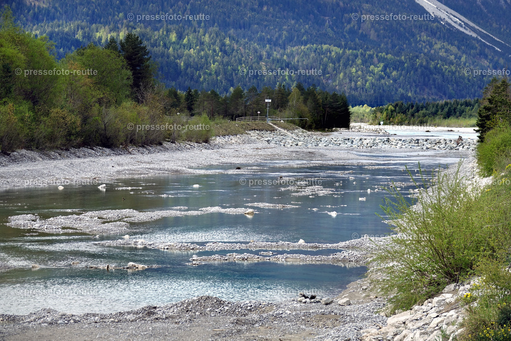 welltvi-Lechfluss-geschiebefalle-Hoefen-09052019DSD01107 | Info aus dem Bezirk Reutte/Ausserfern Tirol sowie eine umfangreiche Bilddatenbank über die gesamte Region: Lechtal, Talkessel Reutte, Tannheimertal, Zwischentoren. Lech, Plansee, Zugspitze, Grenztunnel, B179, Fernpassstraße, Verkehr, Lawinen, Tradition, - Realisiert mit Pictrs.com
