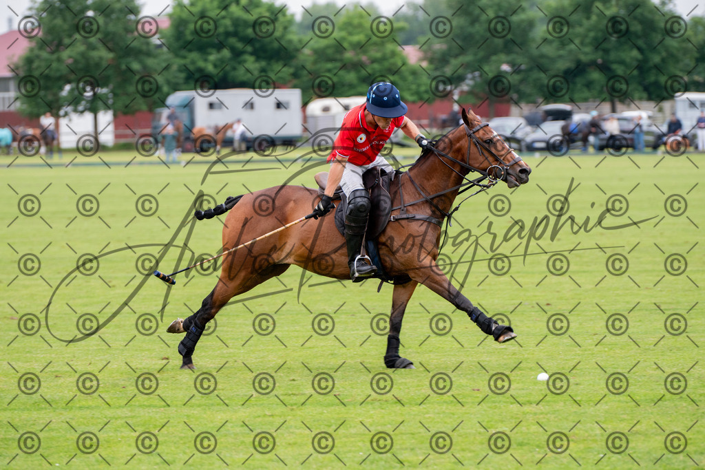 POL_2801 | andre_photographic