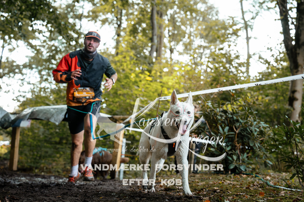 1409DZ6_1108Z6 | kk-dogfotos