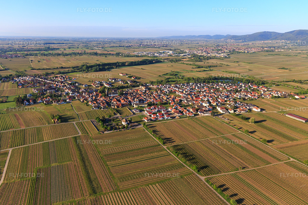Luftbild: Ortsansicht aus Norden in Kirrweiler im Bundesland Rheinland-Pfalz in Deutschland. Foto: IMG_120616.jpg vom 26.04.2020 durch Werner Riehm/FLY-FOTO.de