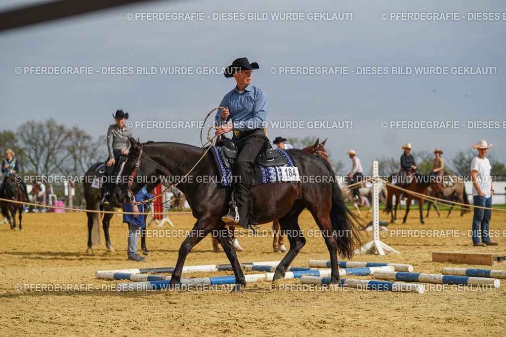 DSC02086 | Pferdegrafie