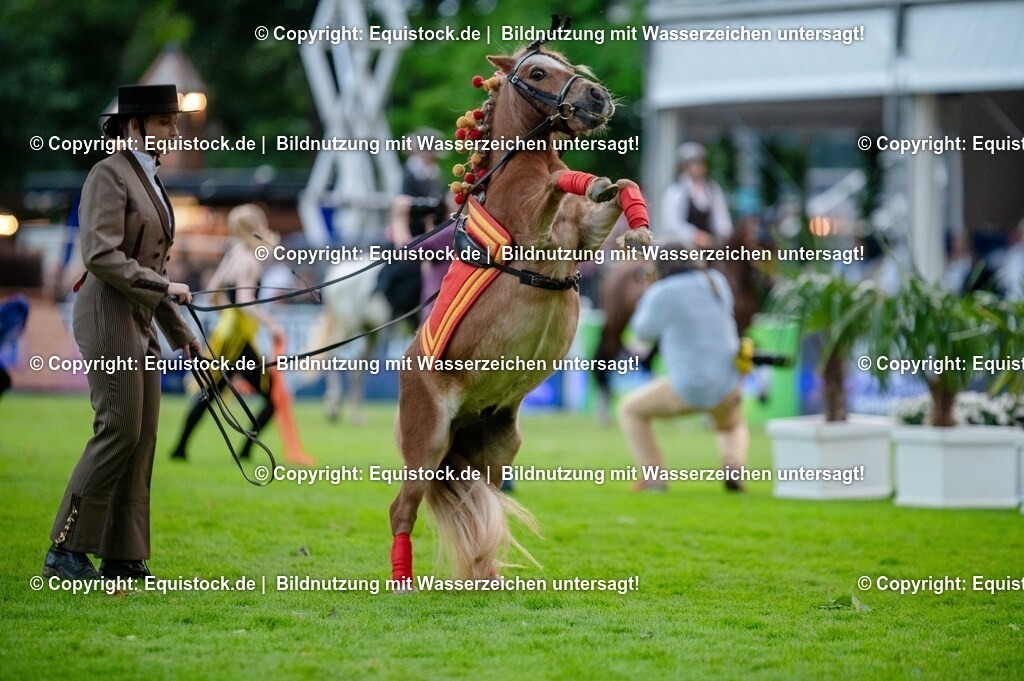 20250606_Lange-Pferdenacht_0627 | Foto: Thomas Hartig