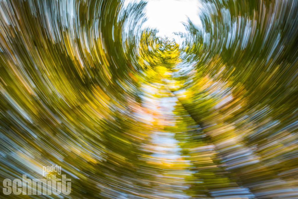 PS-Blur-2026-15 | Entdecke die größte Bildgalerie der Region mit Fotografien aus dem Allgäu, der Bodenseeregion, Oberschwaben, dem Donautal und der Schwäbischen Alb. Landschaften, Luftaufnahmen und Reisefotografie als Wandbild und Fotokunst. - Realisiert mit Pictrs.com