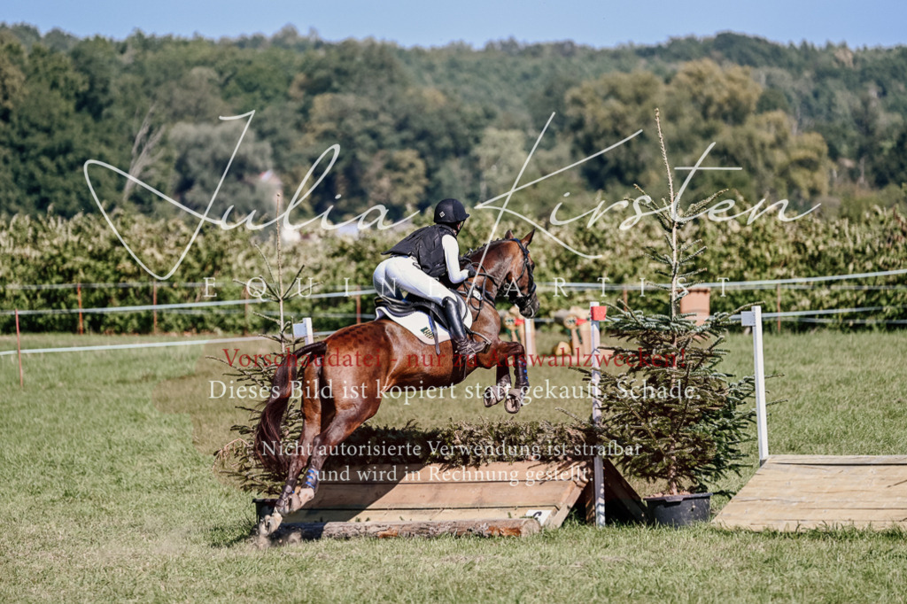 DSC_2742 | Pferde- und Turnierfotografie in Westsachsen. Pferdeportraits, Auftragszeichnungen und intuitive Kunst.